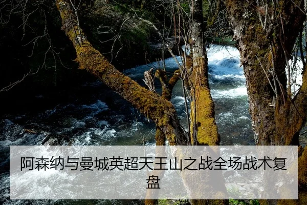 阿森纳与曼城英超天王山之战全场战术复盘
